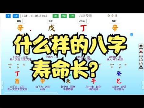 風水網|八字